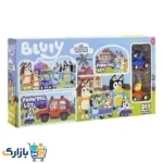 پارکینگ BLUIY